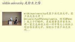 ,witkin university ʲôѧ