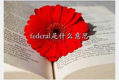 federal